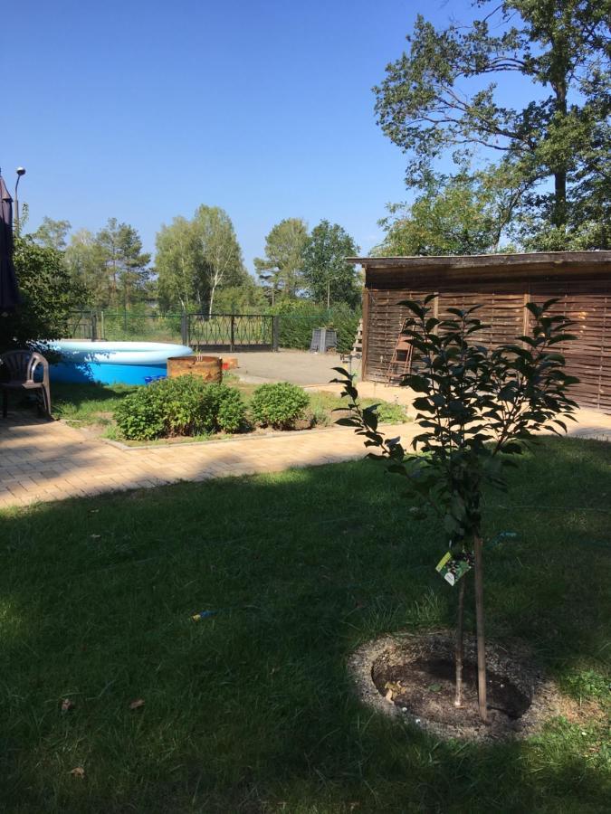 Apartamento Helles Doppelzimmer im Untergeschoss mit Bad im Grünen nahe Potsdam Michendorf Exterior foto